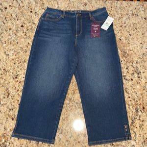 Gloria Vanderbilt Amanda Capri Classic arise